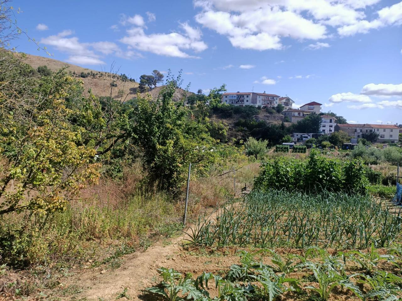 Huerta en Ayegui · Fotografía 5