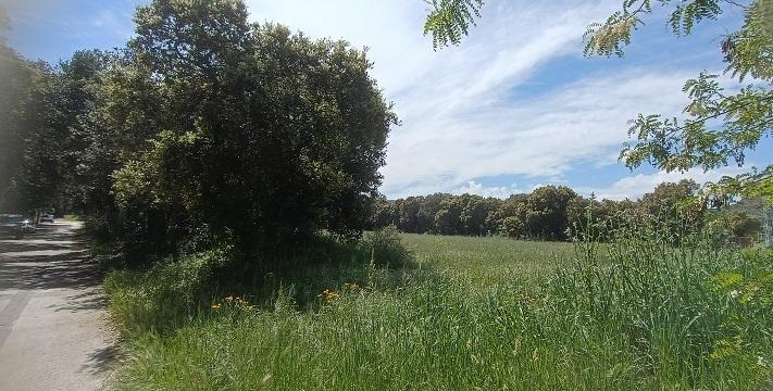 TERRENO URBANO · Fotografía 2
