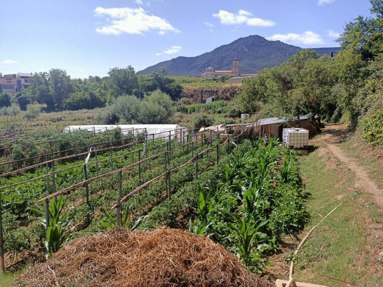 Huerta en Ayegui
