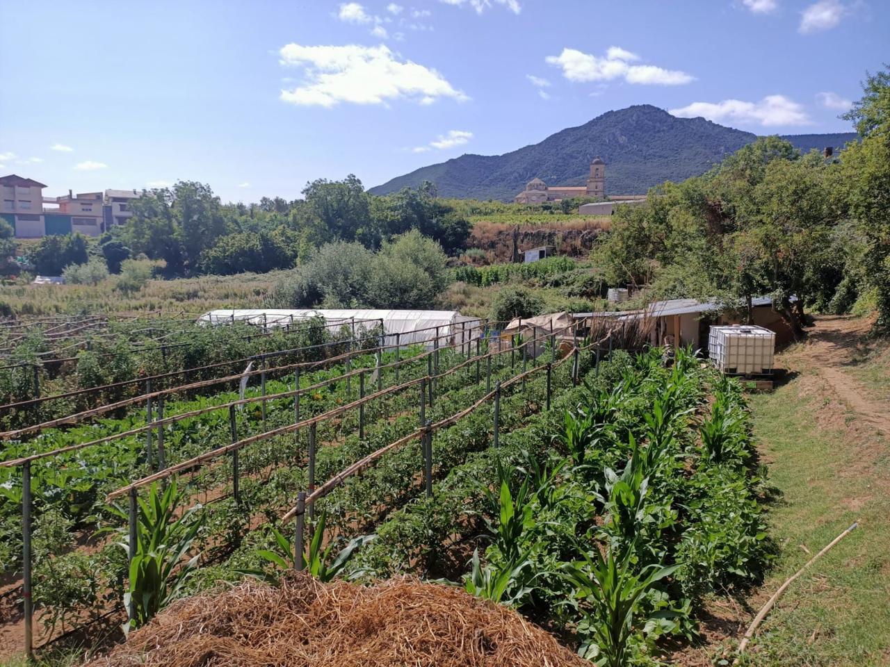 Huerta en Ayegui · Fotografía 2