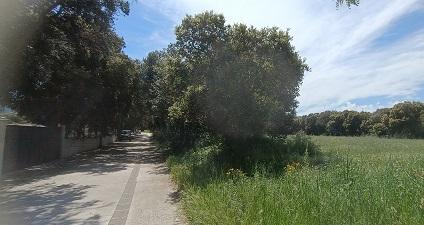 TERRENO URBANO · Fotografía 3