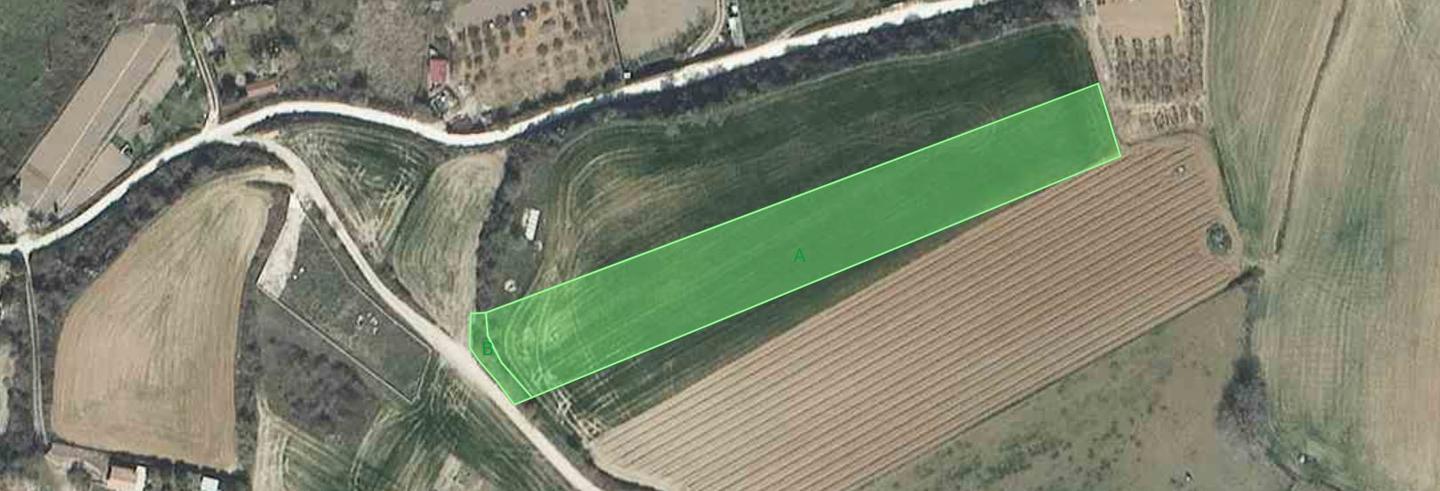Parcela de cultivo, 5500m2 · Fotografía 5