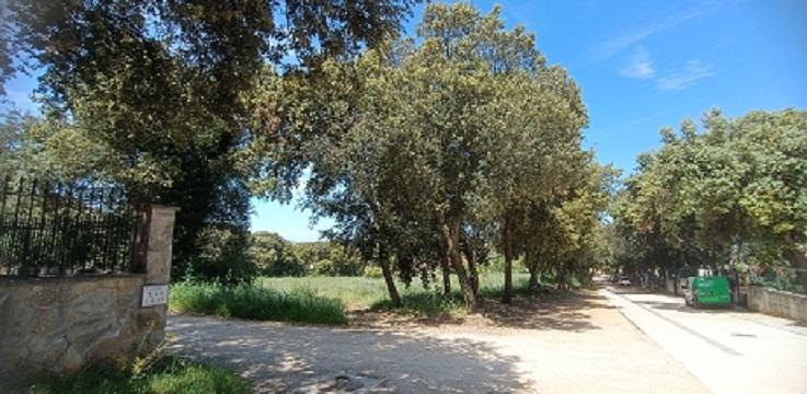 TERRENO URBANO · Fotografía 5