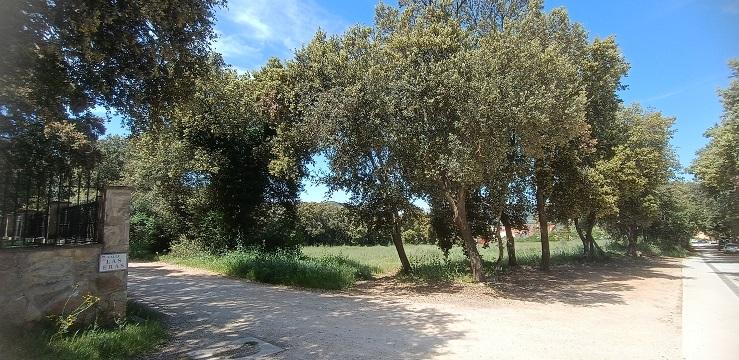 TERRENO URBANO · Fotografía 4